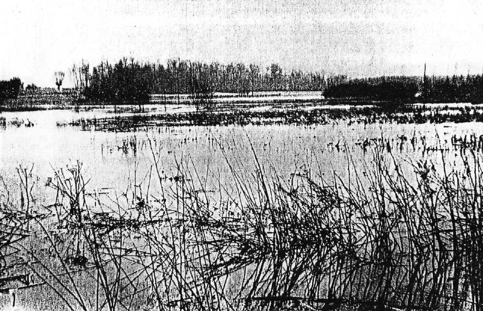 Les inondations de la Semois à Villers en 1962